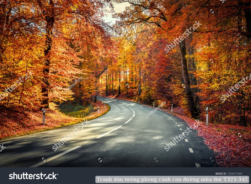 Tranh dán tường phong cảnh con đường mùa thu T321-342